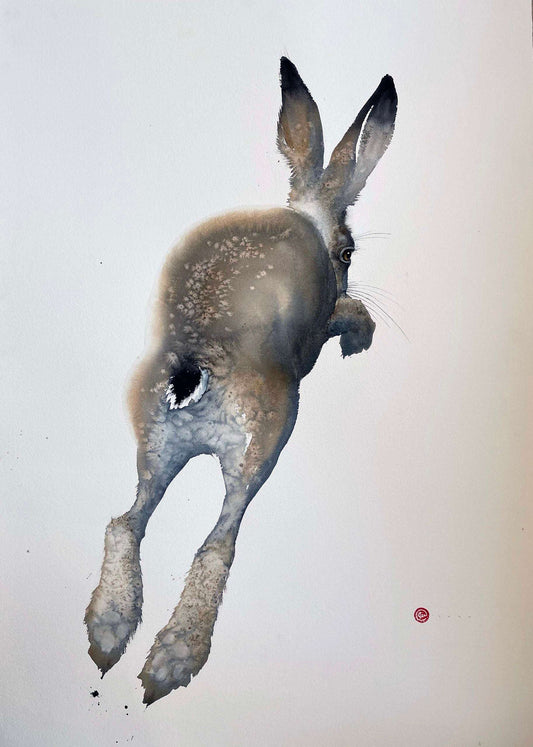 Karl Mårtens - Hare I - Watercolor