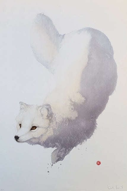 Karl Mårtens - Mountain fox