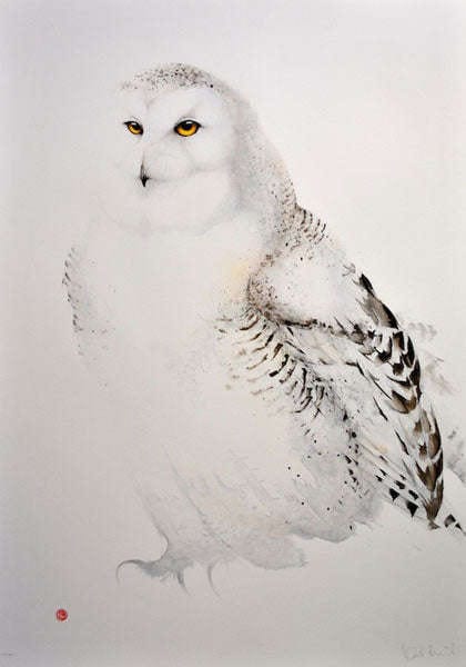 Karl Mårtens - Mountain owl