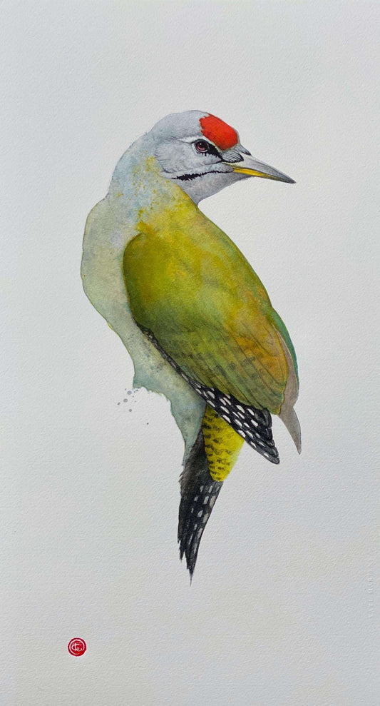 Karl Mårtens - Woodpecker