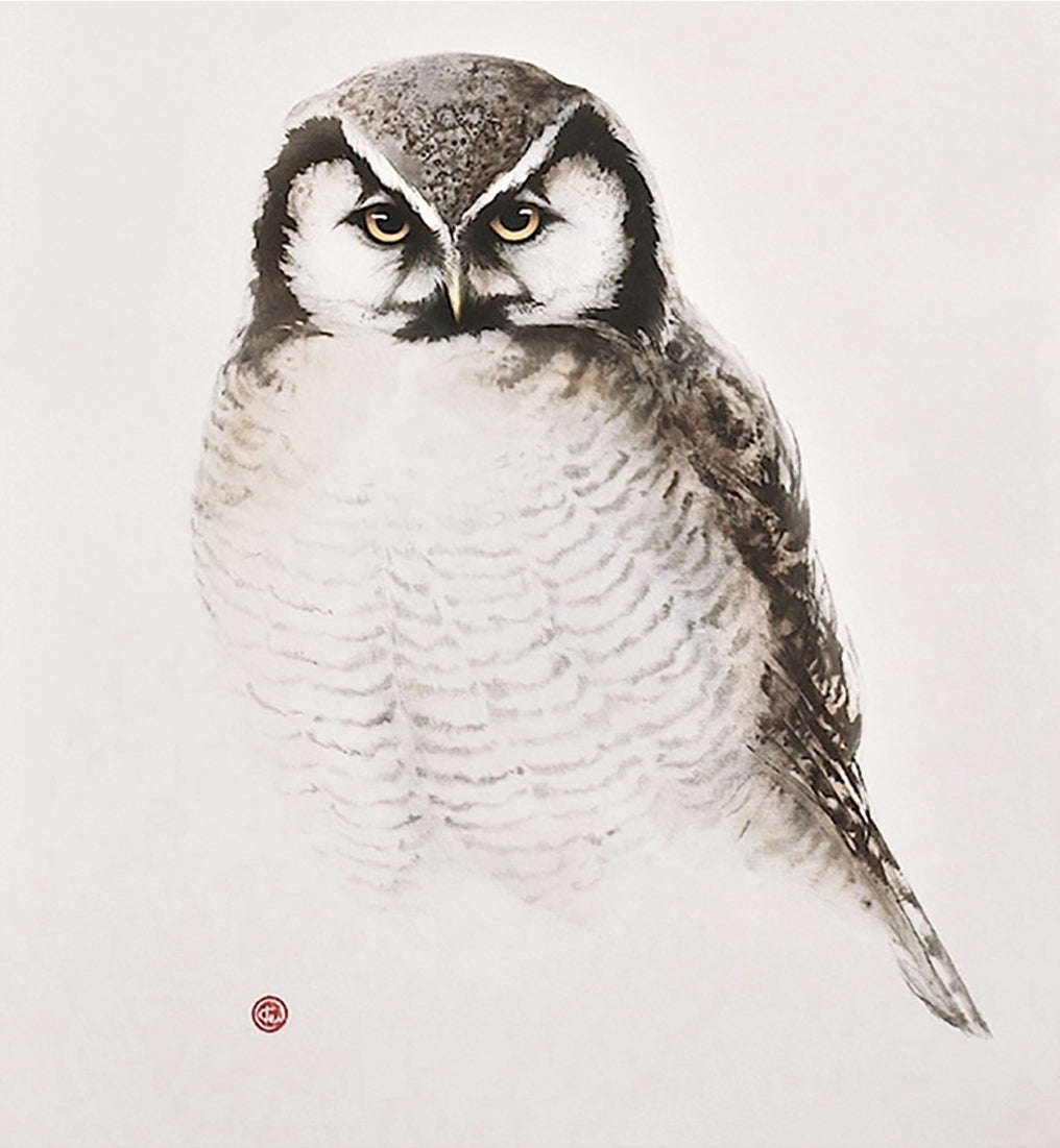 Karl Mårtens - Owl