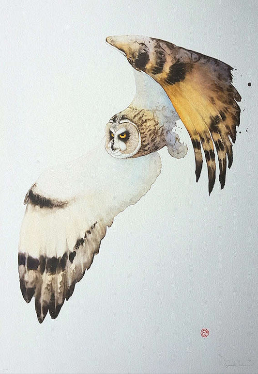 Karl Mårtens - Barn owl