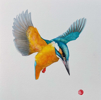 Karl Mårtens - Kingfisher