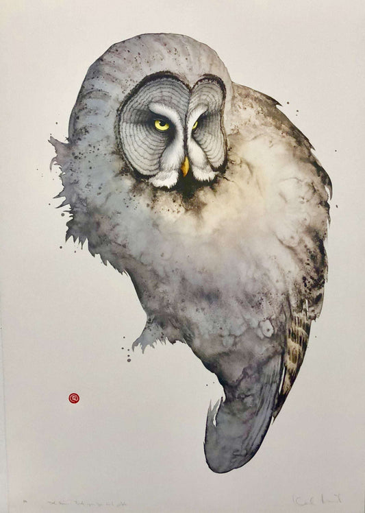 Karl Mårtens - Lapwing owl