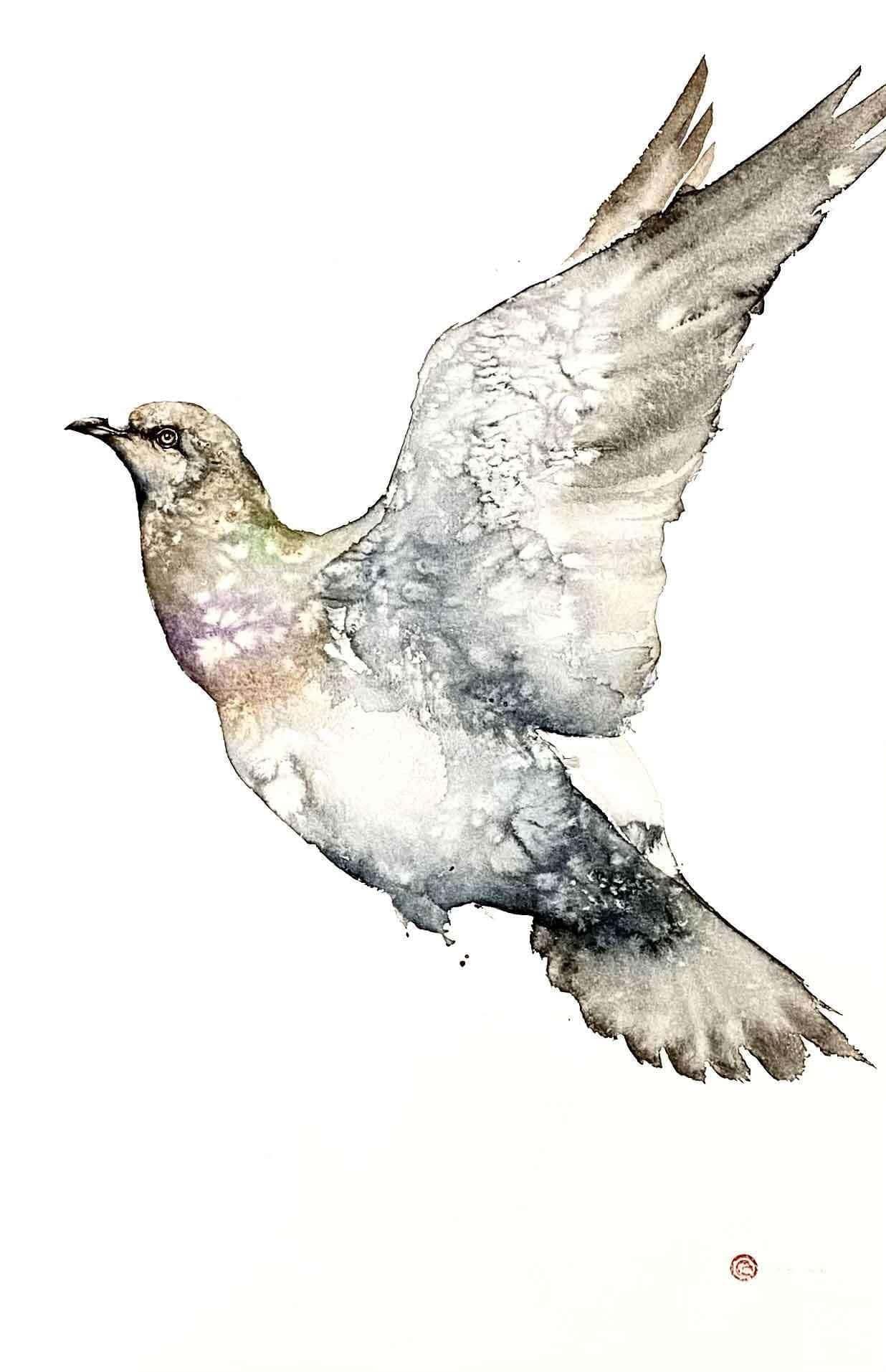 Karl Mårtens - Domestic Pigeon - Watercolor
