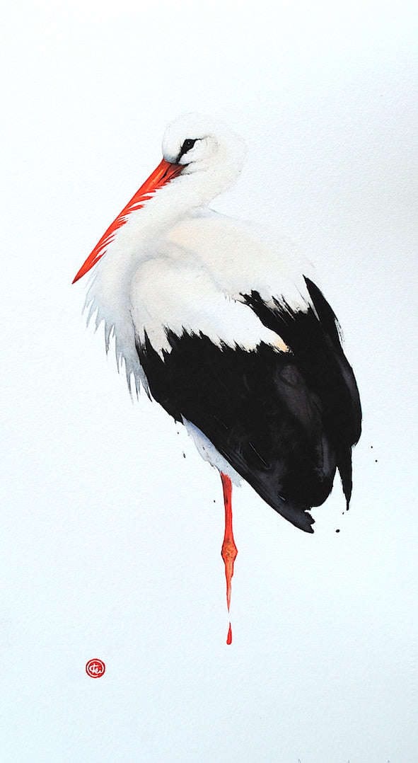 Karl Mårtens - Vit Stork