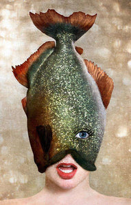 Sonja Hesslow - Fish food
