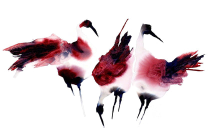 Ylva Molitor-Gärdsell - Red Farm Birds