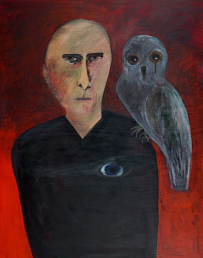 Saga Bitkover-Norman - The Wizard's Owl