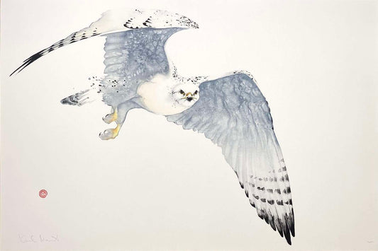 Karl Mårtens - Hunting falcon
