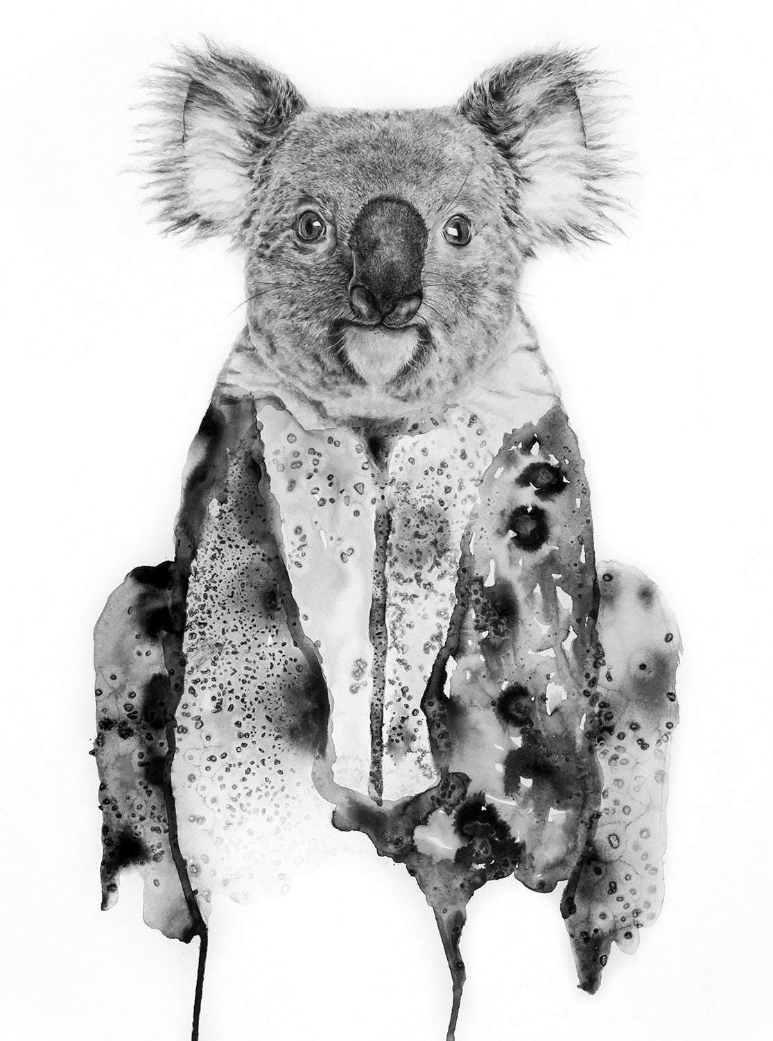 Annika Wessmark - Koala